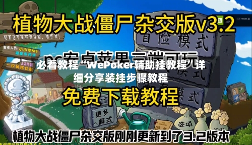 必看教程“WePoker辅助挂教程”详细分享装挂步骤教程-第3张图片