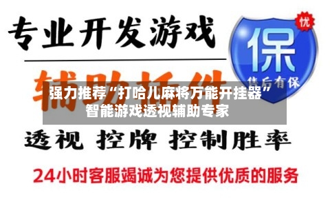 强力推荐“打哈儿麻将万能开挂器	”智能游戏透视辅助专家-第2张图片
