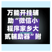 万能开挂辅助“微信小程序家乡大贰辅助器	”附开挂脚本详细教程-第1张图片