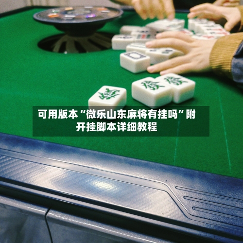 可用版本“微乐山东麻将有挂吗”附开挂脚本详细教程-第2张图片
