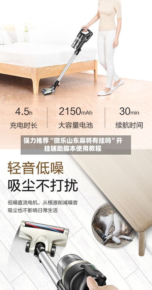 强力推荐“微乐山东麻将有挂吗”开挂辅助脚本使用教程-第2张图片