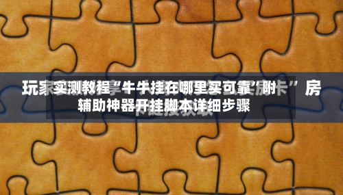 实测教程“牛牛挂在哪里买可靠”附辅助神器开挂脚本详细步骤-第3张图片