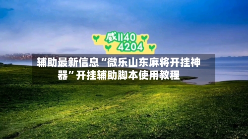 辅助最新信息“微乐山东麻将开挂神器”开挂辅助脚本使用教程-第1张图片