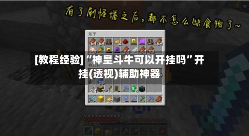 [教程经验]“神皇斗牛可以开挂吗	”开挂(透视)辅助神器-第1张图片