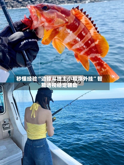 秒懂经验“边锋斗地主小程序外挂”智能透视稳定辅助-第2张图片
