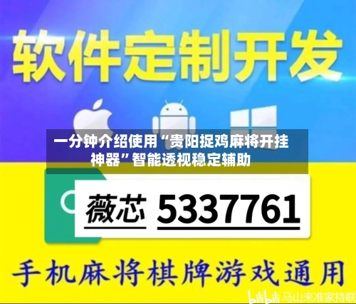 一分钟介绍使用“贵阳捉鸡麻将开挂神器”智能透视稳定辅助-第2张图片