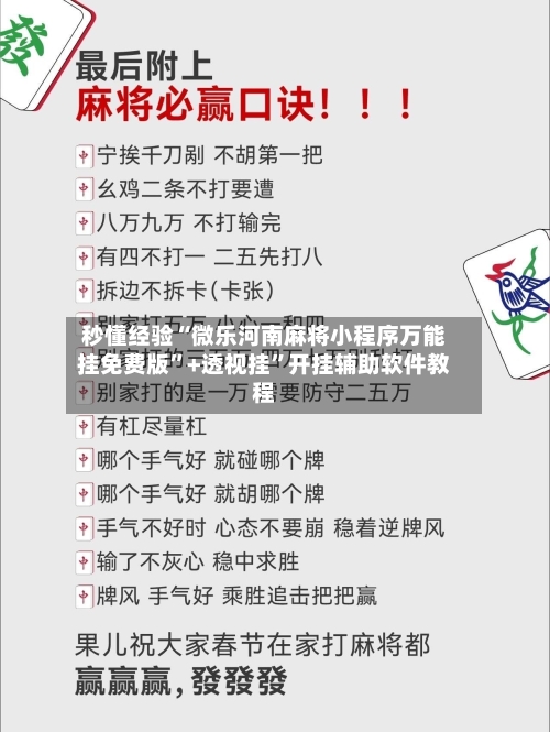 秒懂经验“微乐河南麻将小程序万能挂免费版”+透视挂	”开挂辅助软件教程-第3张图片