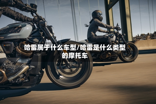 哈雷属于什么车型/哈雷是什么类型的摩托车-第1张图片
