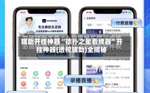 辅助开挂神器“德扑之星看牌器	”开挂神器{透视辅助}全揭秘-第2张图片
