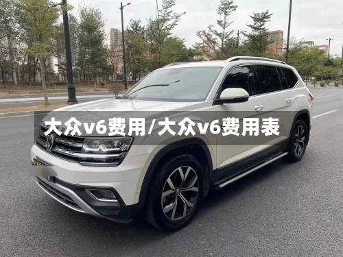 大众v6费用/大众v6费用表-第3张图片