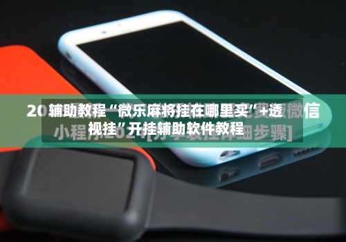 辅助教程“微乐麻将挂在哪里买”+透视挂”开挂辅助软件教程-第1张图片
