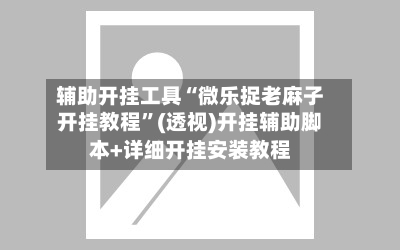 辅助开挂工具“微乐捉老麻子开挂教程”(透视)开挂辅助脚本+详细开挂安装教程-第3张图片