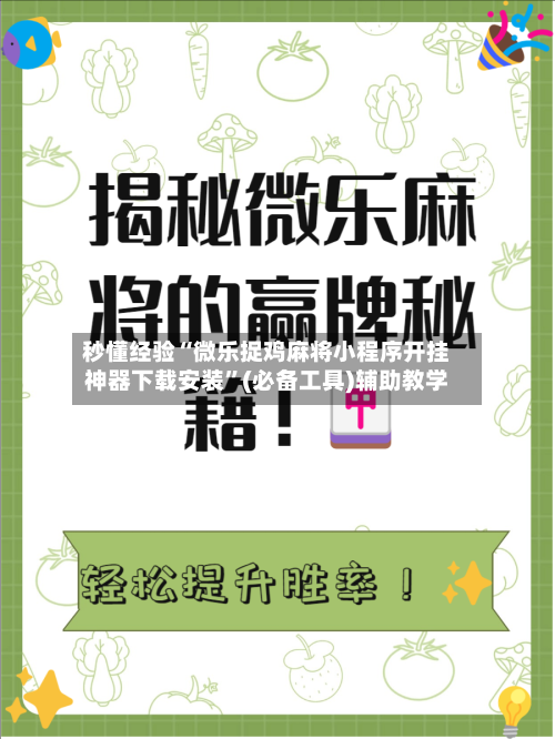 秒懂经验“微乐捉鸡麻将小程序开挂神器下载安装”(必备工具)辅助教学-第2张图片