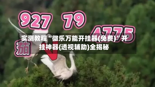 实测教程“微乐万能开挂器(免费)”开挂神器{透视辅助}全揭秘-第1张图片