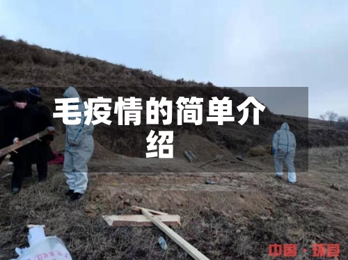 毛疫情的简单介绍-第2张图片
