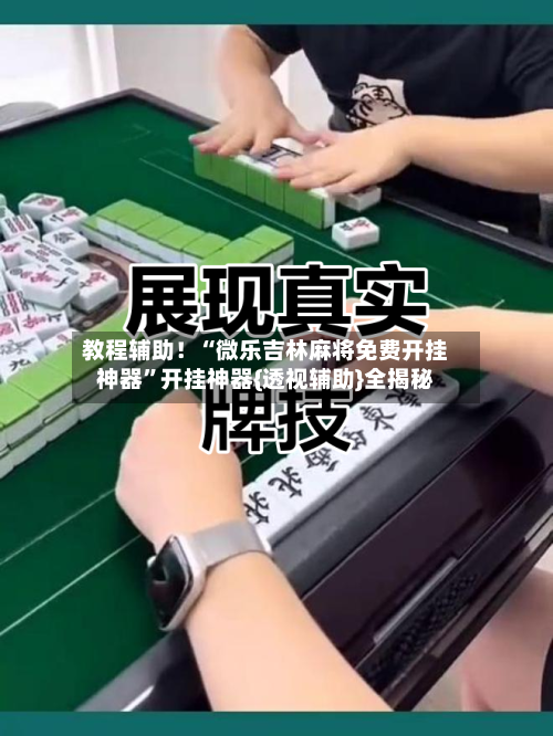 教程辅助！“微乐吉林麻将免费开挂神器”开挂神器{透视辅助}全揭秘-第3张图片