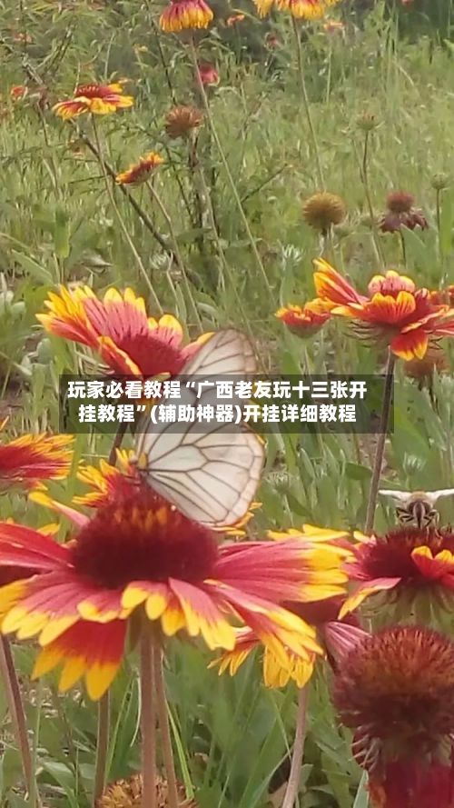 玩家必看教程“广西老友玩十三张开挂教程”(辅助神器)开挂详细教程-第2张图片