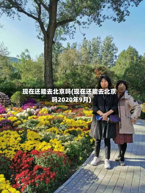 现在还能去北京吗(现在还能去北京吗2020年9月)-第3张图片