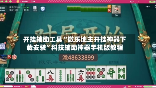 开挂辅助工具“微乐地主开挂神器下载安装”科技辅助神器手机版教程-第2张图片