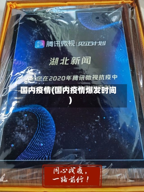 国内疫情(国内疫情爆发时间)-第3张图片