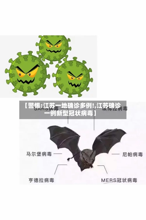 【警惕:江苏一地确诊多例!,江苏确诊一例新型冠状病毒】-第3张图片