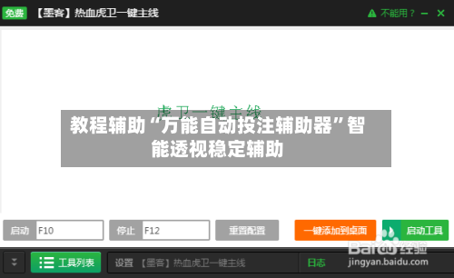 教程辅助“万能自动投注辅助器”智能透视稳定辅助-第2张图片