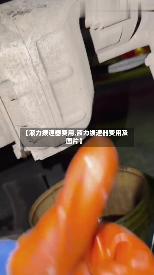 【液力缓速器费用,液力缓速器费用及图片】-第3张图片