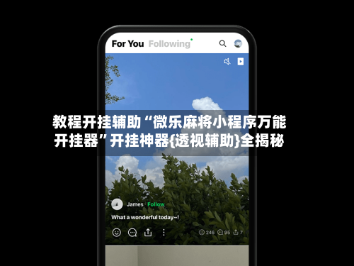 教程开挂辅助“微乐麻将小程序万能开挂器”开挂神器{透视辅助}全揭秘-第3张图片