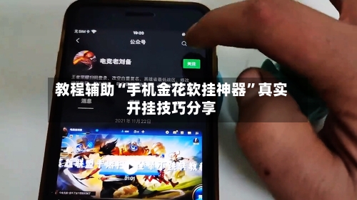 教程辅助“手机金花软挂神器”真实开挂技巧分享-第3张图片