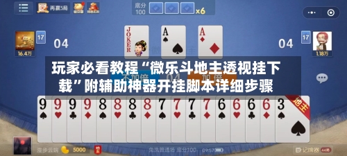 玩家必看教程“微乐斗地主透视挂下载”附辅助神器开挂脚本详细步骤-第2张图片