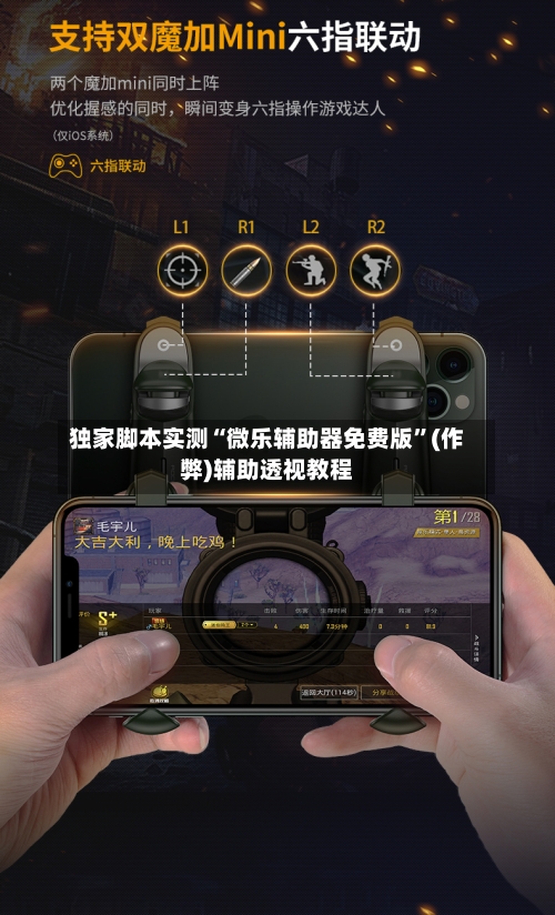 独家脚本实测“微乐辅助器免费版”(作弊)辅助透视教程-第2张图片