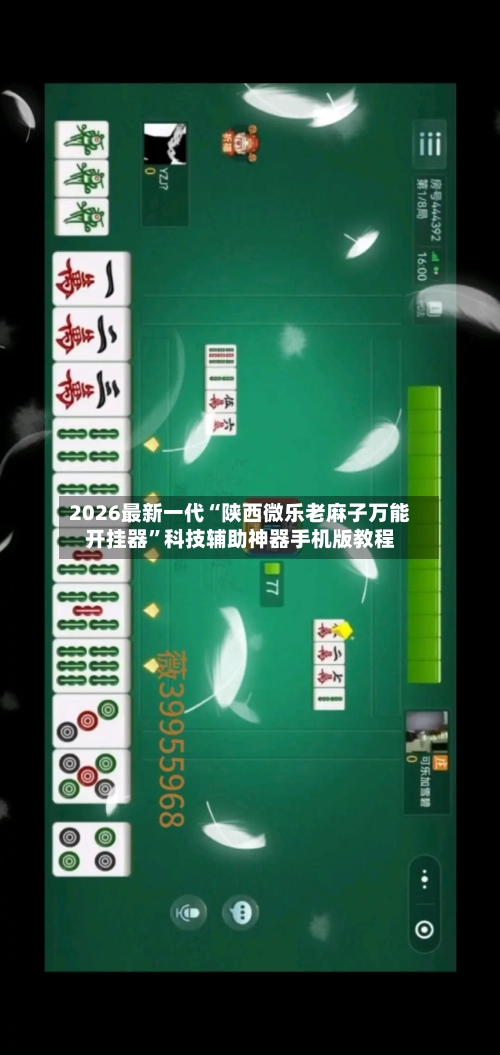 2026最新一代“陕西微乐老麻子万能开挂器	”科技辅助神器手机版教程-第2张图片