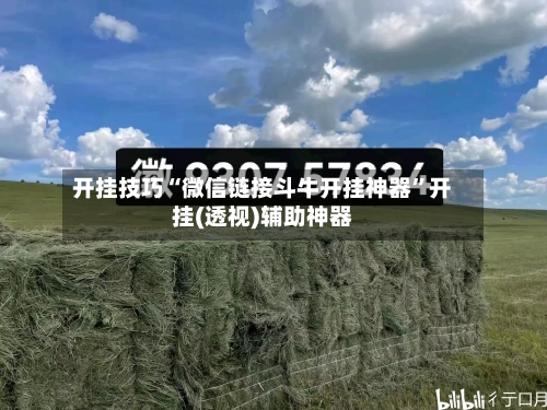 开挂技巧“微信链接斗牛开挂神器”开挂(透视)辅助神器-第1张图片