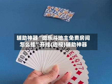 辅助神器“微乐斗地主免费房间怎么挂	”开挂(透视)辅助神器-第2张图片