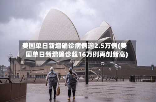 美国单日新增确诊病例逾2.5万例(美国单日新增确诊超16万例再创新高)-第3张图片