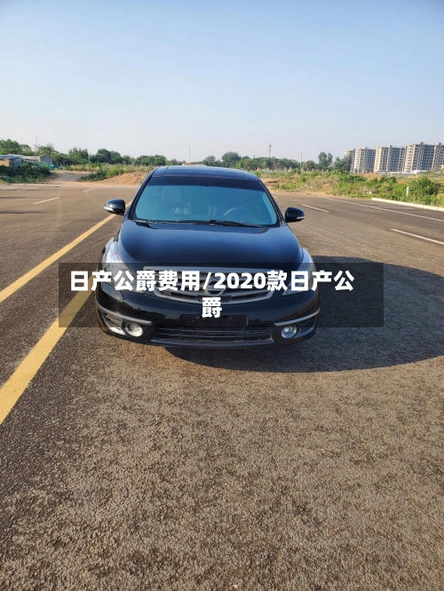 日产公爵费用/2020款日产公爵-第2张图片