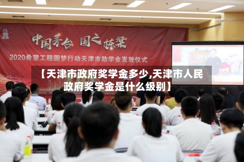 【天津市政府奖学金多少,天津市人民政府奖学金是什么级别】-第2张图片