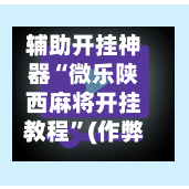 辅助开挂神器“微乐陕西麻将开挂教程”(作弊)辅助透视教程-第2张图片