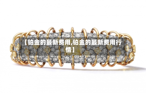 【铂金的最新费用,铂金的最新费用行情】-第2张图片