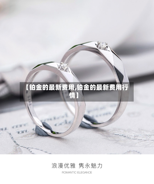 【铂金的最新费用,铂金的最新费用行情】-第3张图片