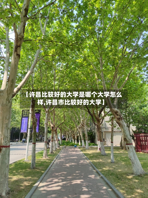 【许昌比较好的大学是哪个大学怎么样,许昌市比较好的大学】-第3张图片