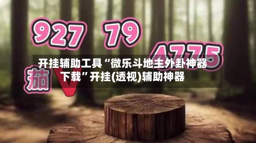 开挂辅助工具“微乐斗地主外卦神器下载	”开挂(透视)辅助神器-第3张图片