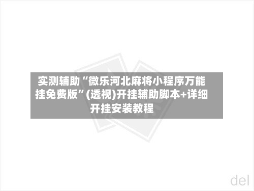 实测辅助“微乐河北麻将小程序万能挂免费版”(透视)开挂辅助脚本+详细开挂安装教程-第3张图片