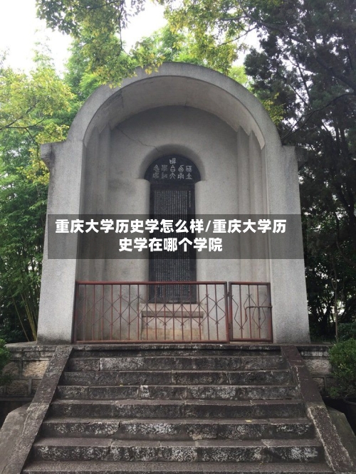重庆大学历史学怎么样/重庆大学历史学在哪个学院-第3张图片