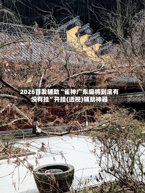 2026首发辅助“雀神广东麻将到底有没有挂”开挂(透视)辅助神器-第3张图片