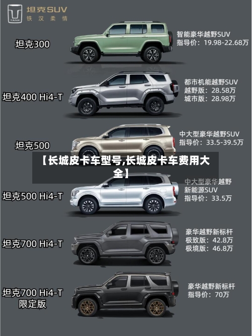 【长城皮卡车型号,长城皮卡车费用大全】-第2张图片