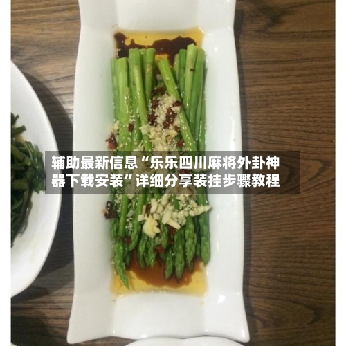 辅助最新信息“乐乐四川麻将外卦神器下载安装”详细分享装挂步骤教程-第2张图片