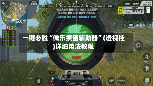 一键必胜“微乐掼蛋辅助器	”(透视挂)详细用法教程-第2张图片