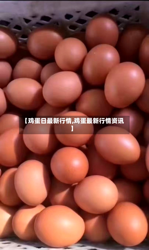 【鸡蛋日最新行情,鸡蛋最新行情资讯】-第1张图片