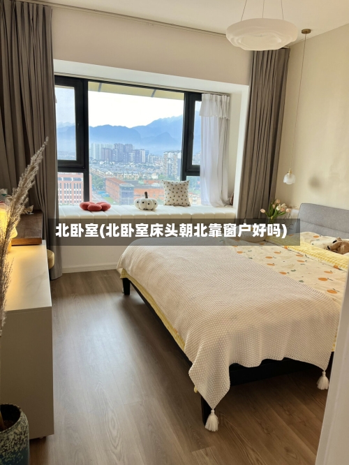北卧室(北卧室床头朝北靠窗户好吗)-第1张图片